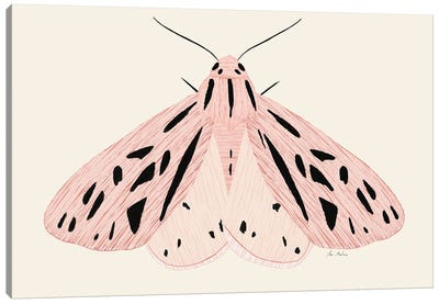 Pink Butterfly Canvas Art Print - Ana Martínez