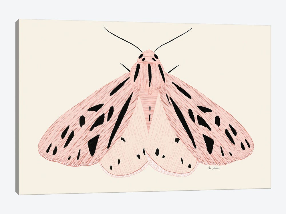 Pink Butterfly by Ana Martínez 1-piece Canvas Artwork