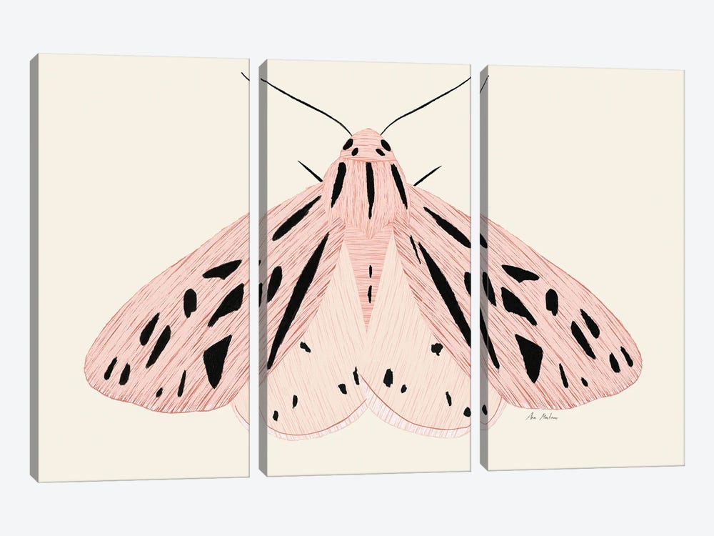 Pink Butterfly by Ana Martínez 3-piece Canvas Wall Art
