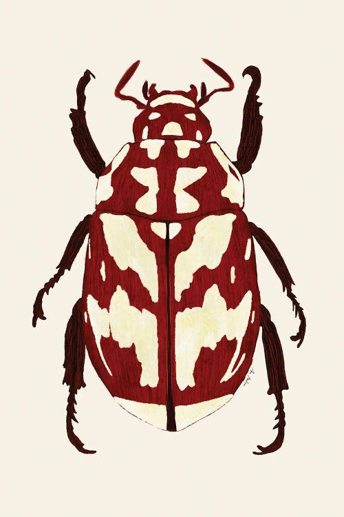 Red Beetle