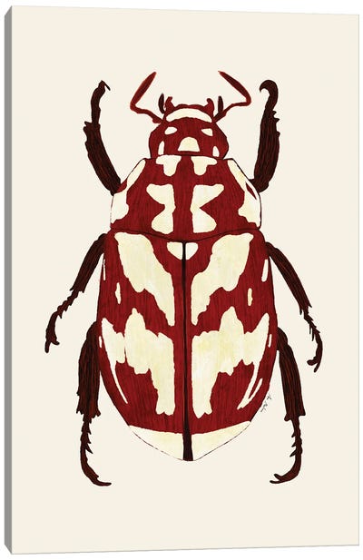 Red Beetle Canvas Art Print - Beetle Art