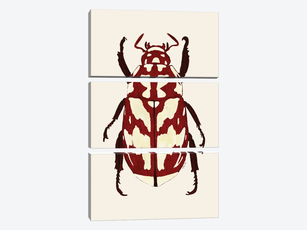 Red Beetle by Ana Martínez 3-piece Art Print