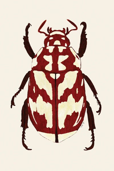 Ana Martínez: Red Beetle by Ana Martínez