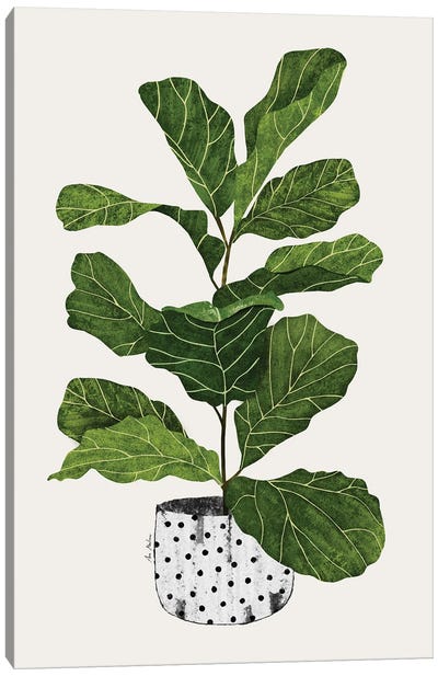 Fiddle Leaf Fig Tree Plant Canvas Art Print - Scandinavian Décor