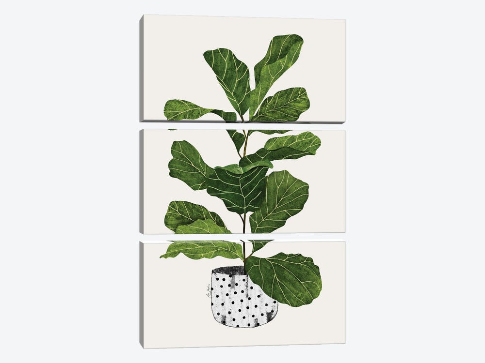 Fiddle Leaf Fig Tree Plant by Ana Martínez 3-piece Canvas Art