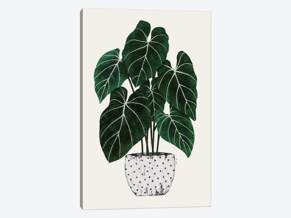Philodendron Plant by Ana Martínez 1-piece Art Print
