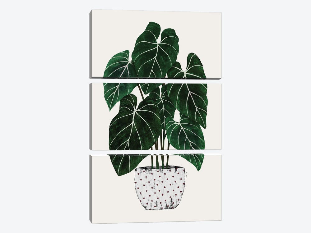 Philodendron Plant by Ana Martínez 3-piece Art Print