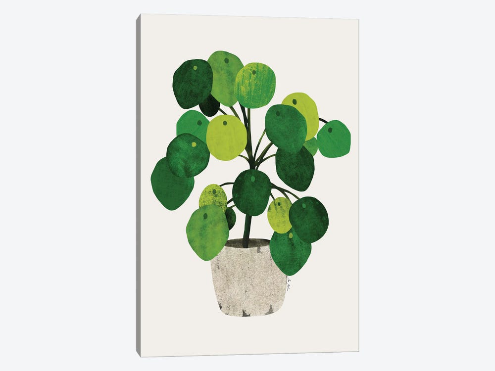 Pilea Plant by Ana Martínez 1-piece Canvas Art Print
