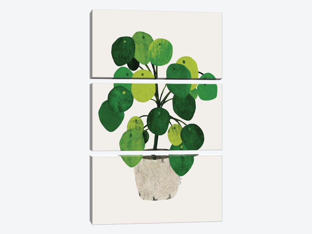 Pilea Plant by Ana Martínez 3-piece Art Print