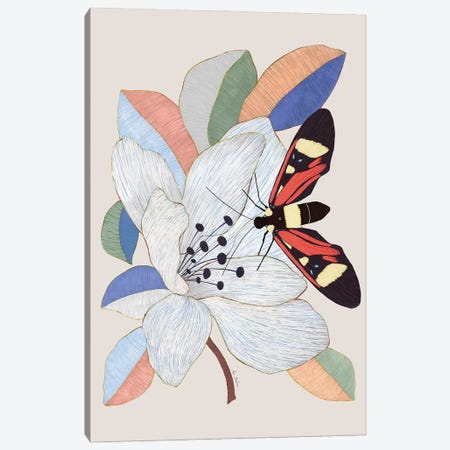 Magnolia Flower Canvas Print #MNZ23} by Ana Martínez Art Print