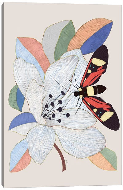 Magnolia Flower Canvas Art Print - Ana Martínez