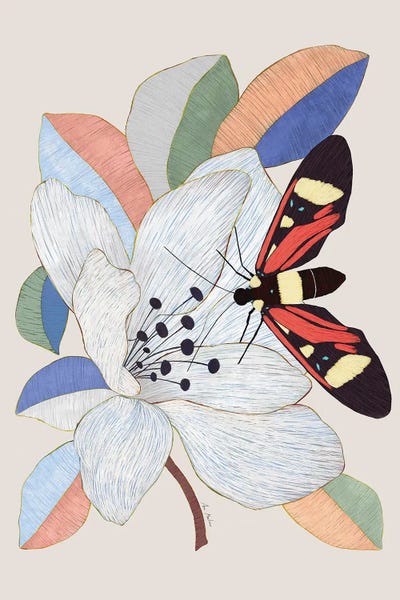 Magnolias: Magnolia Flower by Ana Martínez