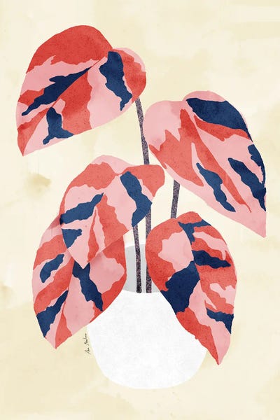 Pink Princess Plant by Ana Martínez art print