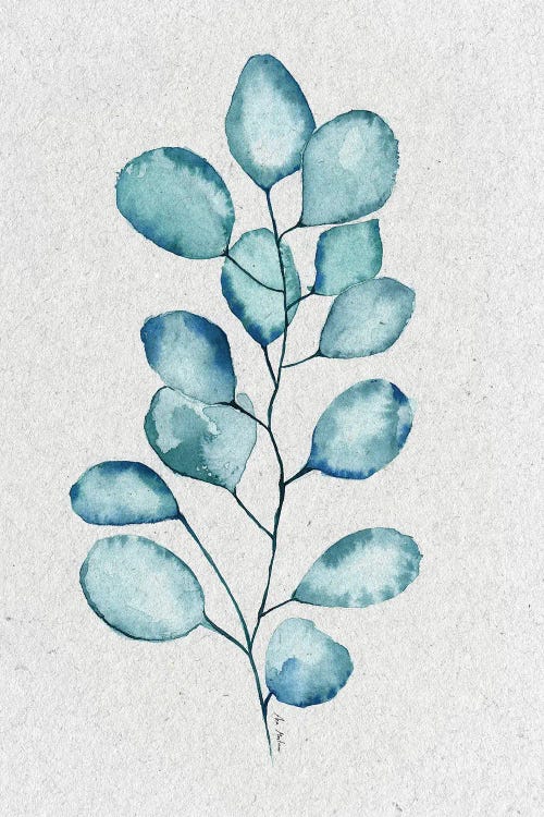 Eucalyptus Leaves by Ana Martínez wall art
