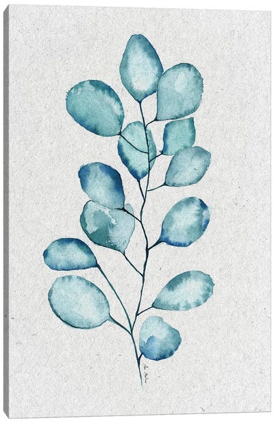 Eucalyptus Leaves Canvas Art Print - Ana Martínez