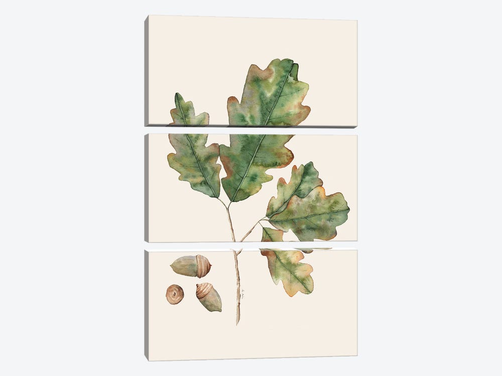 Oak Leaves by Ana Martínez 3-piece Canvas Artwork