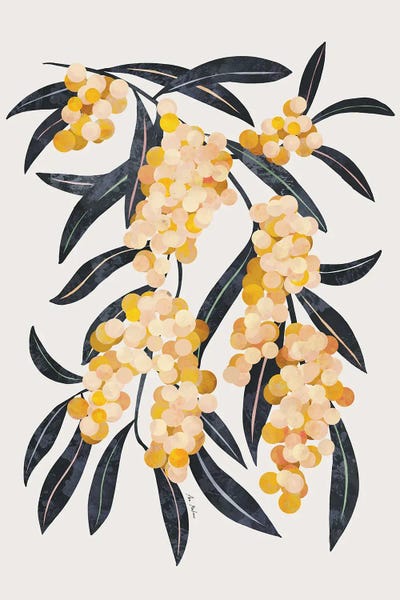 Acacia Branch by Ana Martínez art print