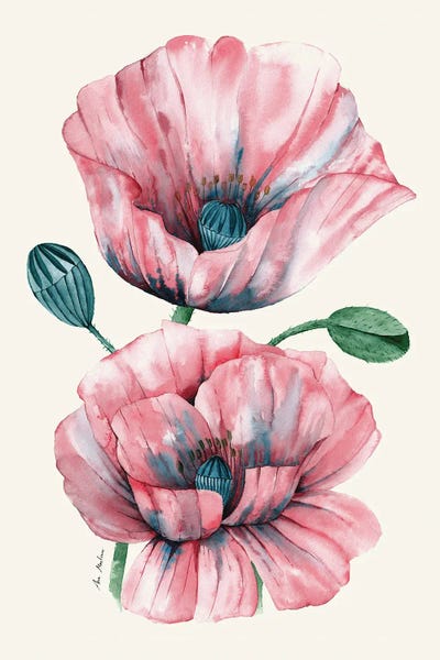 Poppies by Ana Martínez art print