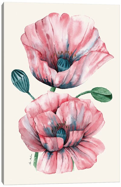 Poppies Canvas Art Print - Ana Martínez