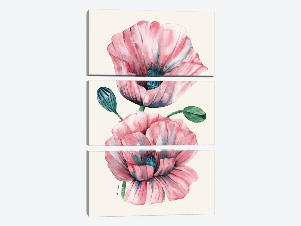 Poppies by Ana Martínez 3-piece Canvas Art