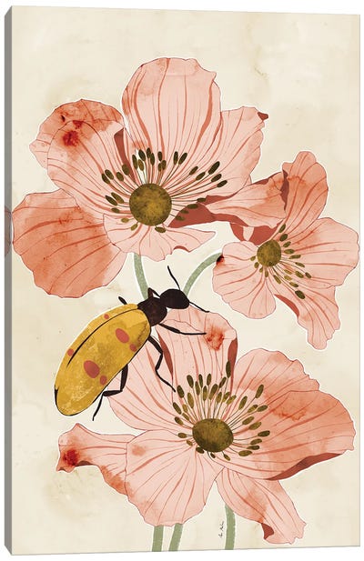 Flowers And Insects Canvas Art Print - Ana Martínez