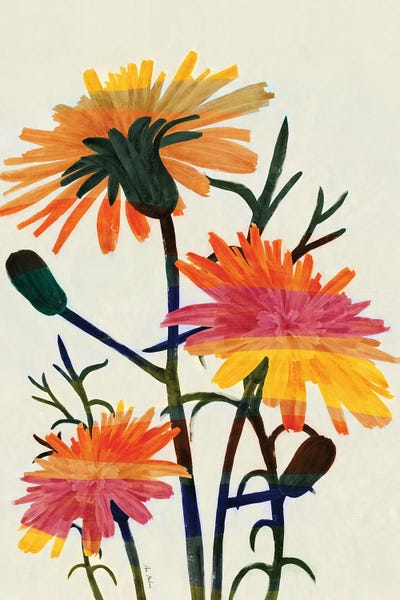 Wildflowers: Wildflowers II by Ana Martínez