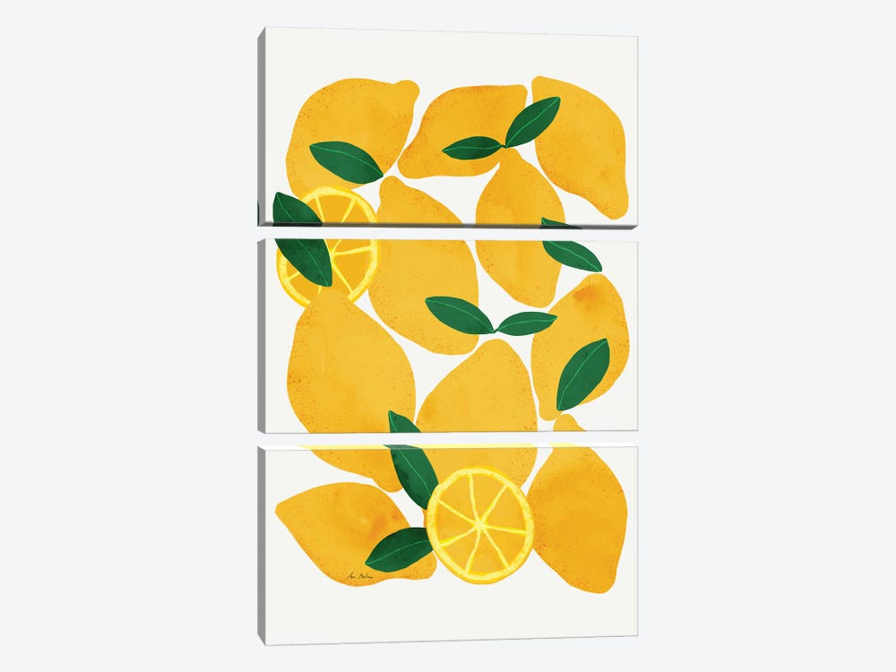 Mediterranean Lemons by Ana Martínez 3-piece Canvas Artwork