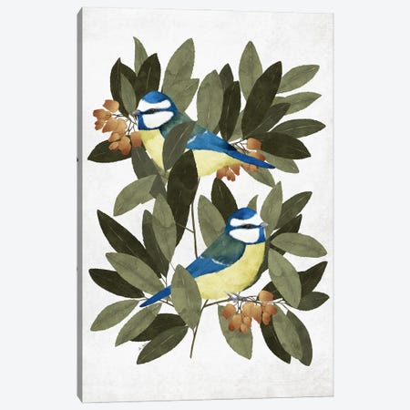 Blue Tit And Strawberry Tree Canvas Print #MNZ51} by Ana Martínez Canvas Wall Art