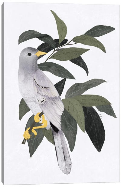 Pigeon In The Forest Canvas Art Print - Dove & Pigeon Art