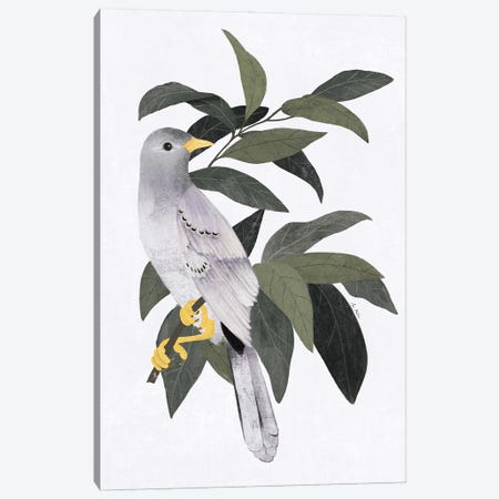 Pigeon In The Forest Canvas Print #MNZ52} by Ana Martínez Canvas Art