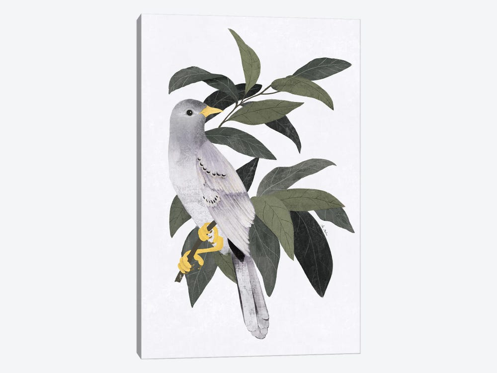 Pigeon In The Forest by Ana Martínez 1-piece Canvas Artwork