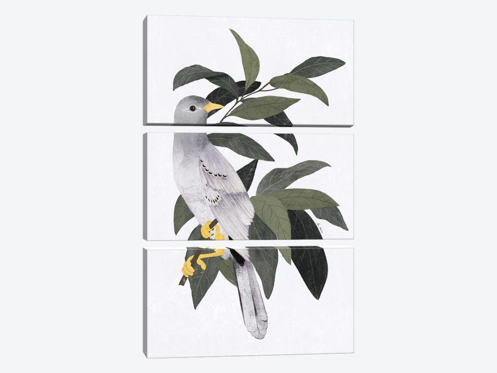 Pigeon In The Forest by Ana Martínez 3-piece Canvas Wall Art