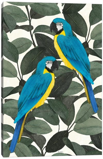 Tropical Parrots Canvas Art Print - Ana Martínez