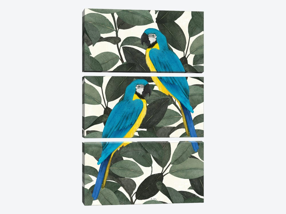 Tropical Parrots by Ana Martínez 3-piece Canvas Artwork