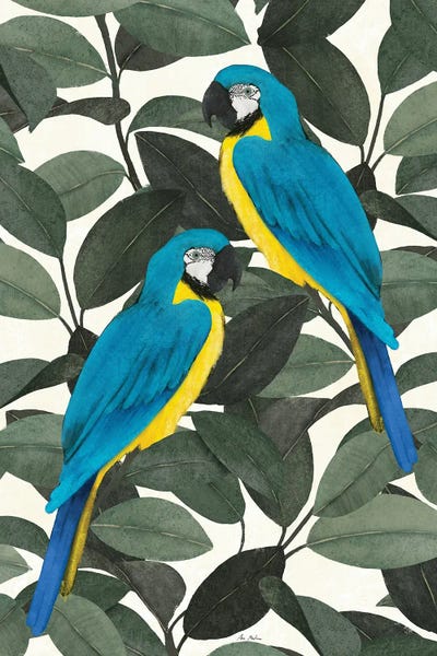 Ana Martínez: Tropical Parrots by Ana Martínez