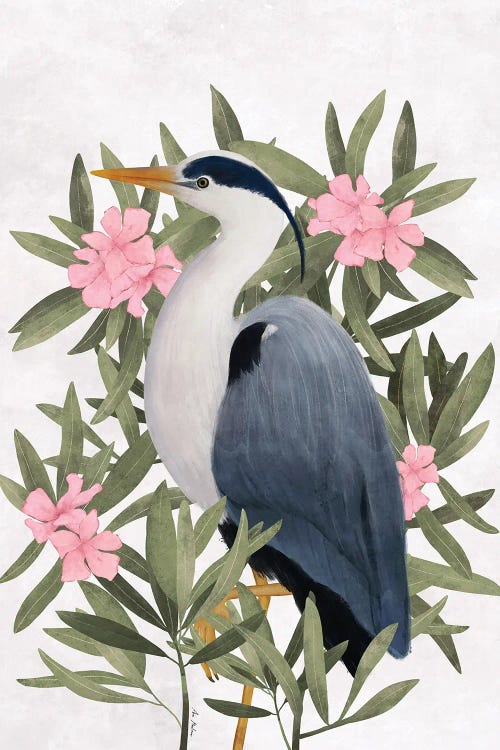 Gray Heron And Oleander