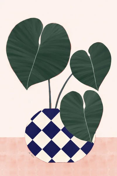 Pottery Still Life: Anthurium Clarinervium Plant by Ana Martínez