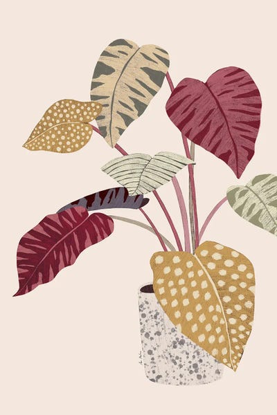 Colorful Plant by Ana Martínez art print