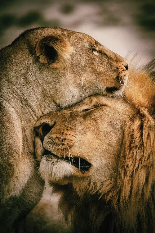 What Is Love by Mohammed Alnaser wall art