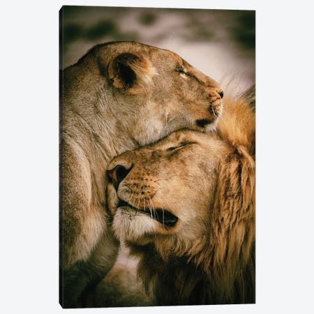 What Is Love Canvas Print #MOA20} by Mohammed Alnaser Canvas Art Print