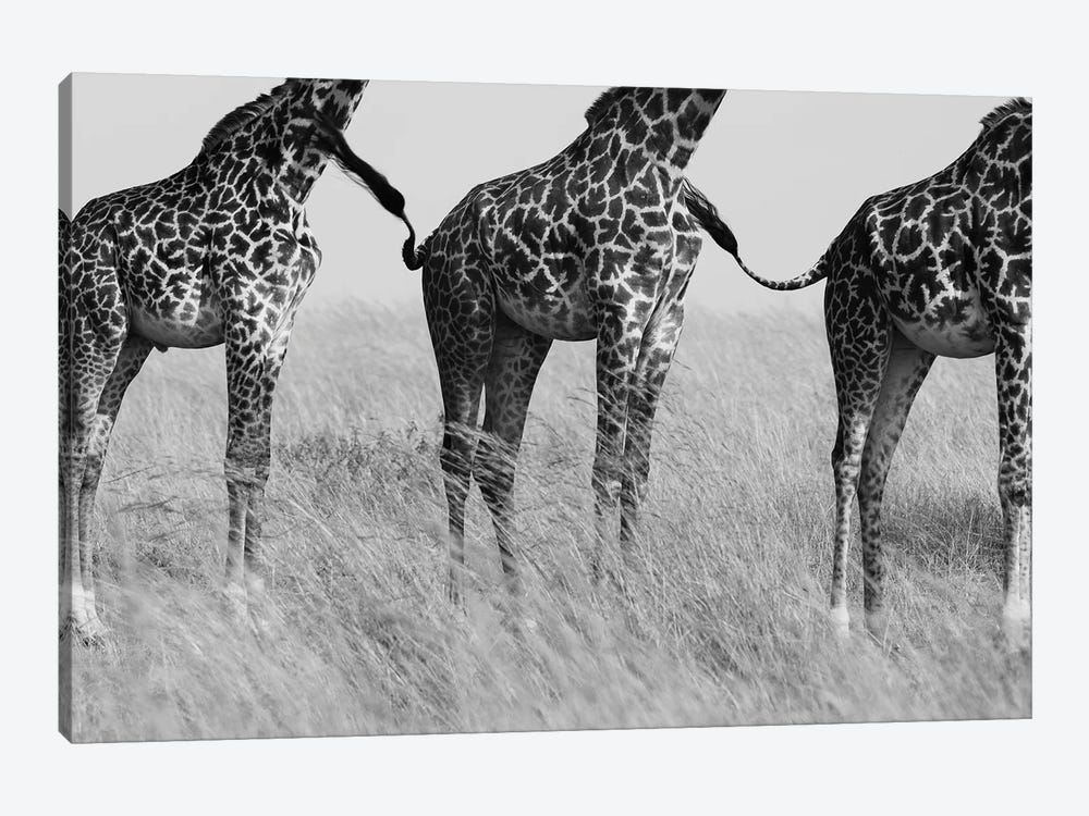 Wild Connection by Mohammed Alnaser 1-piece Art Print