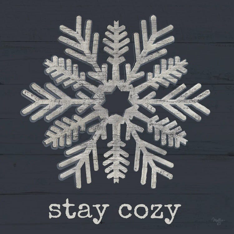 Stay Cozy Snowflake by Mollie B. wall art