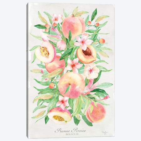 Peach Bouquet Canvas Print #MOB64} by Mollie B. Canvas Art Print
