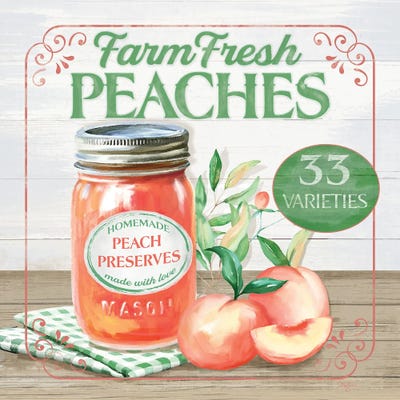 Farm Fresh Peaches by Mollie B. canvas print