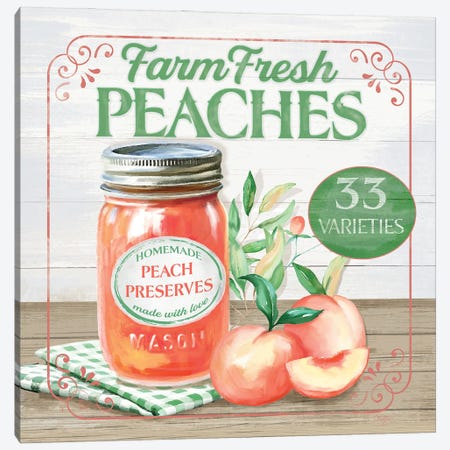Farm Fresh Peaches Canvas Print #MOB80} by Mollie B. Canvas Artwork