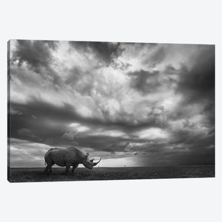 Rhino Land Canvas Print #MOE5} by Mario Moreno Canvas Art Print