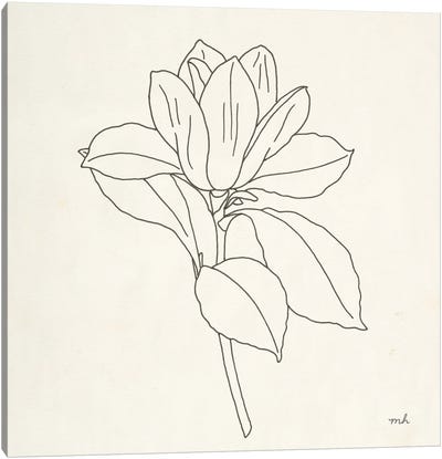 Magnolia Line Drawing II Canvas Art Print - Moira Hershey