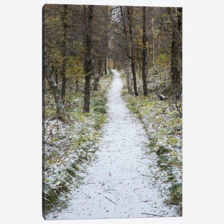 Snow Way #4 Canvas Print #MOL112} by Moises Levy Canvas Wall Art