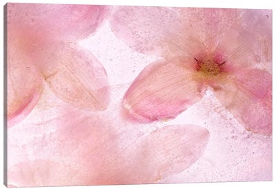 Flores Congeladas #641 Canvas Art Print - Moises Levy