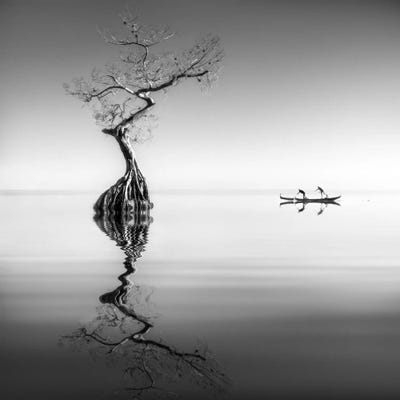 Armonia by Moises Levy canvas print